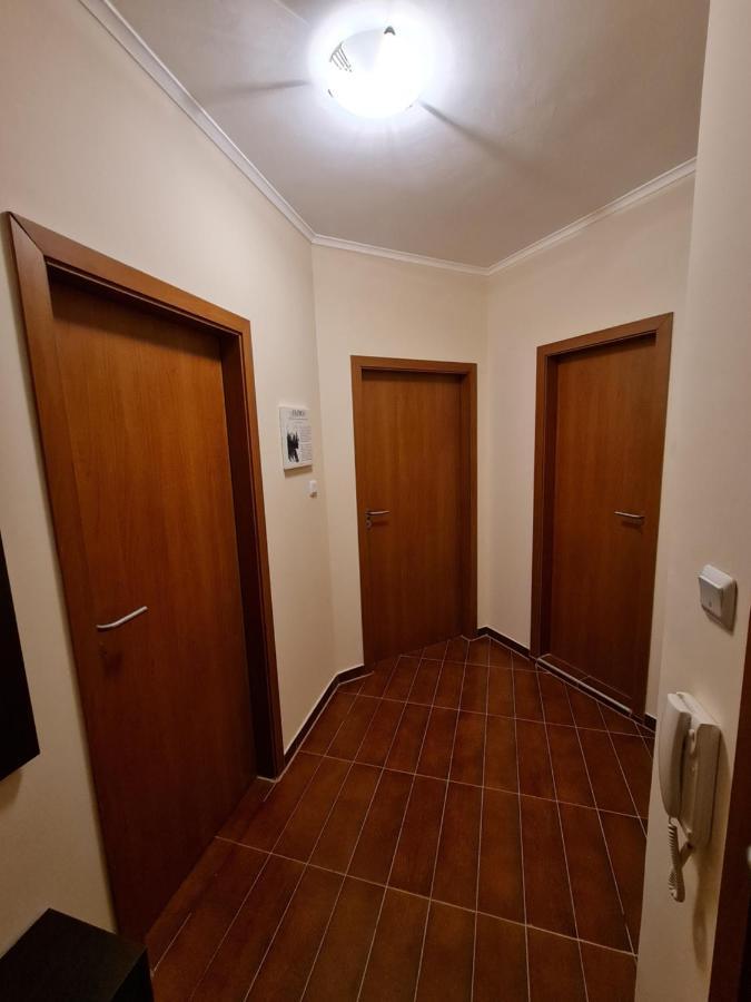 Bansko Vibes Apartments - Flora Boutique Buitenkant foto